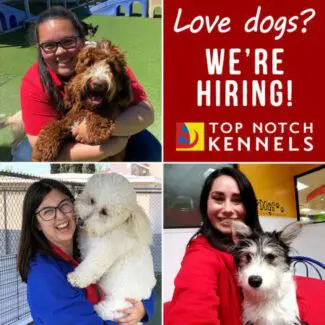 Hiring 2021-07