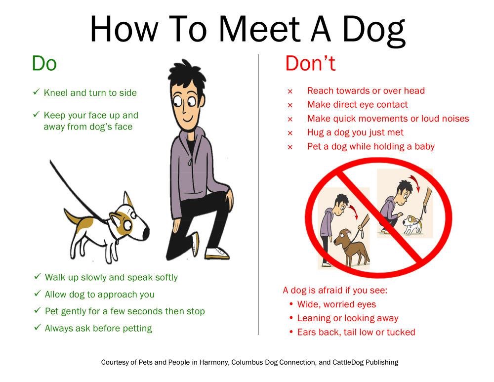 Meeting Top Notch Kennels