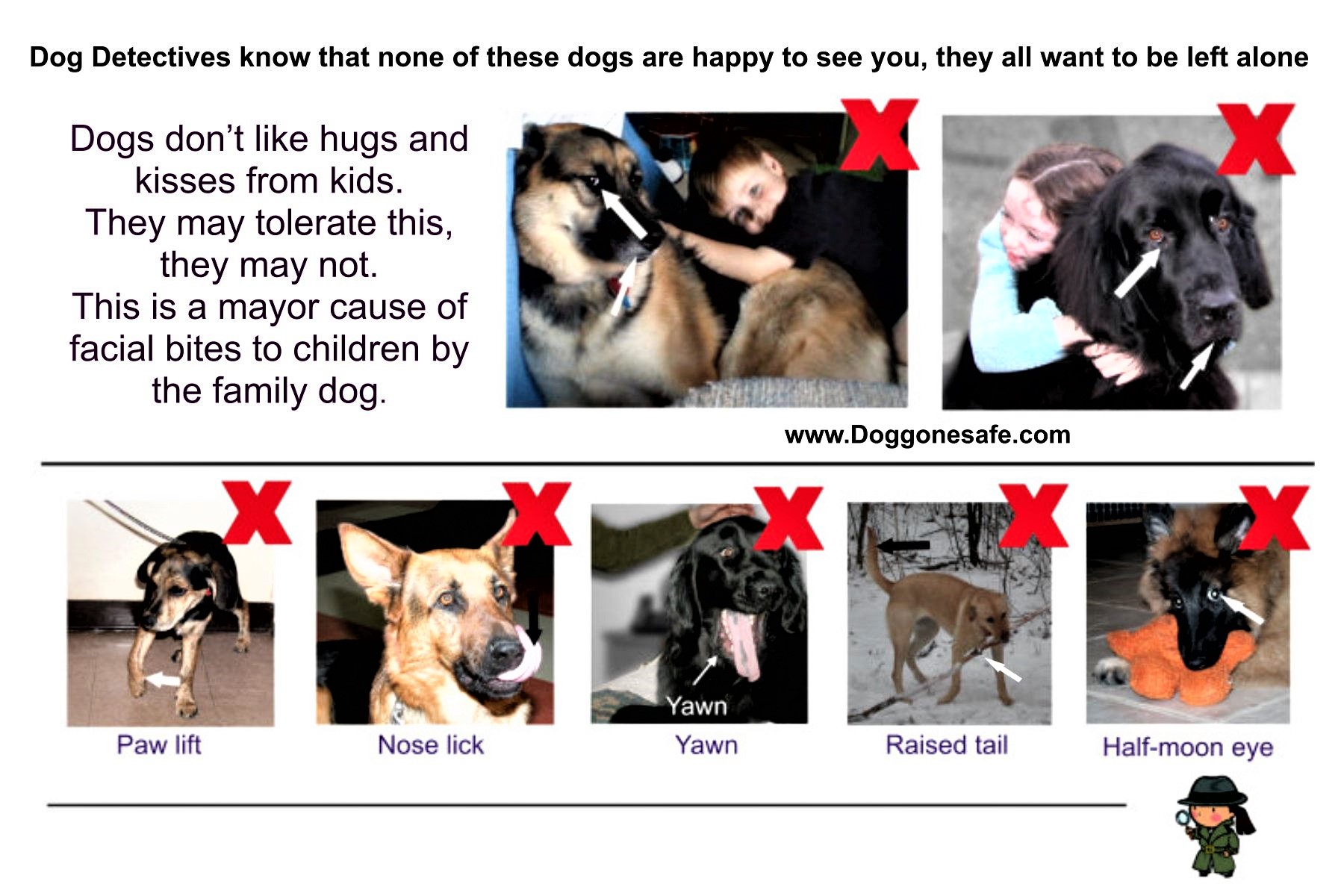 Meeting Top Notch Kennels