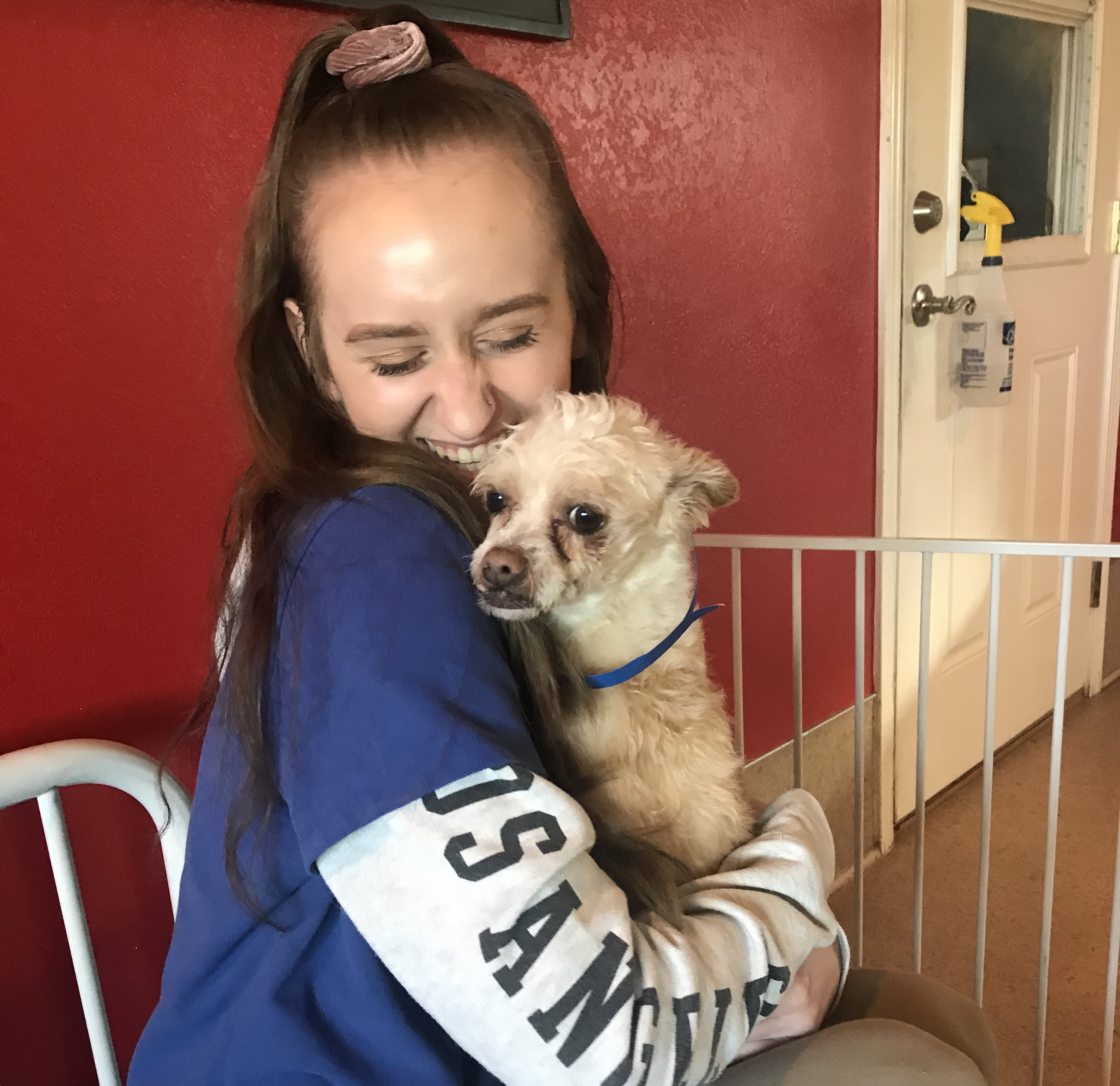 Meeting Top Notch Kennels