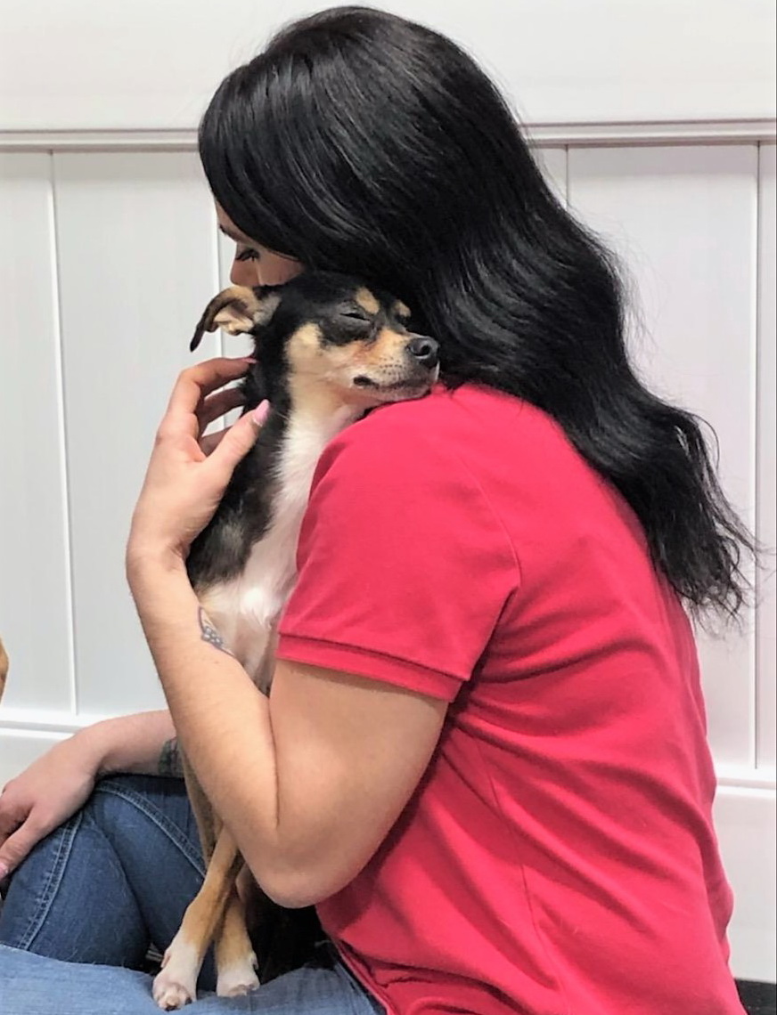 Meeting Top Notch Kennels